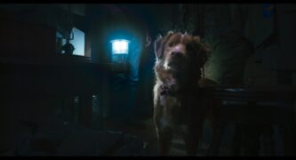 Good Boy on Shudder to stream 21 November