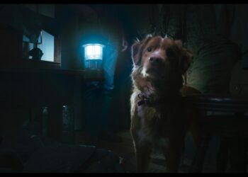 Good Boy on Shudder to stream 21 November