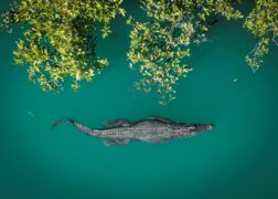 Screen NSW investing over $1 million in developing outstanding NSW screen stories