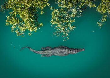 Screen NSW investing over $1 million in developing outstanding NSW screen stories