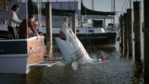 December 2025 on Binge