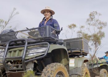 January 2026 on Warner Bros Discovery