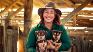 January 2026 on ABC iview