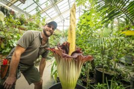 Great Gardens Of Europe on SBS and SBS on Demand S1E1