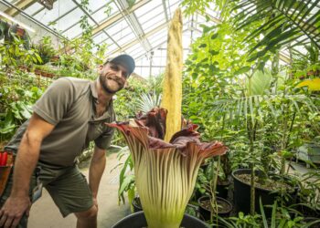 Great Gardens Of Europe on SBS and SBS on Demand S1E1