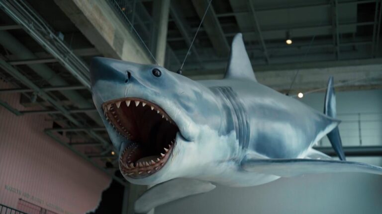 Jaws: Making A Splash In Hollywood on SBS and SBS on Demand