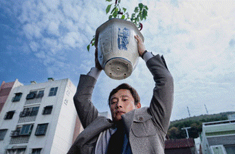 Madman Entertainment lead the way with quality cinema this summer