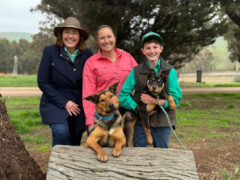 Muster Dogs: Where Are They Now on ABC and ABC iview S2E2