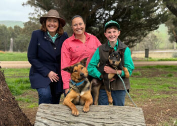 Muster Dogs: Where Are They Now on ABC and ABC iview S2E2