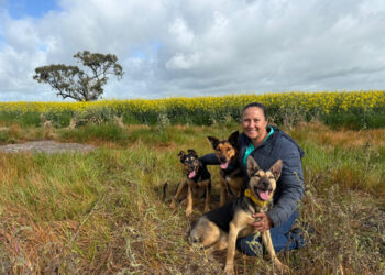 Muster Dogs: Where Are They Now on ABC and ABC iview S2E3