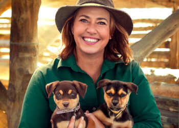 Muster Dogs: Where Are They Now on ABC and ABC iview S2E1