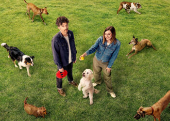 Dog Park on ABC and ABC iview S1E1
