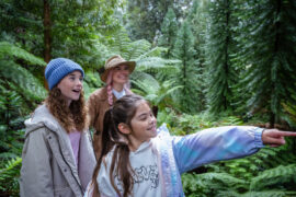 Gardening Australia Junior on ABC Kids and ABC iview S3E4