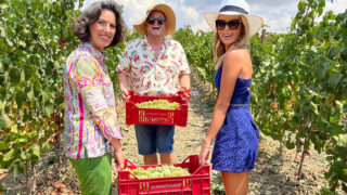 Amanda & Alan's Italian Job on ABC and ABC iview S1E5