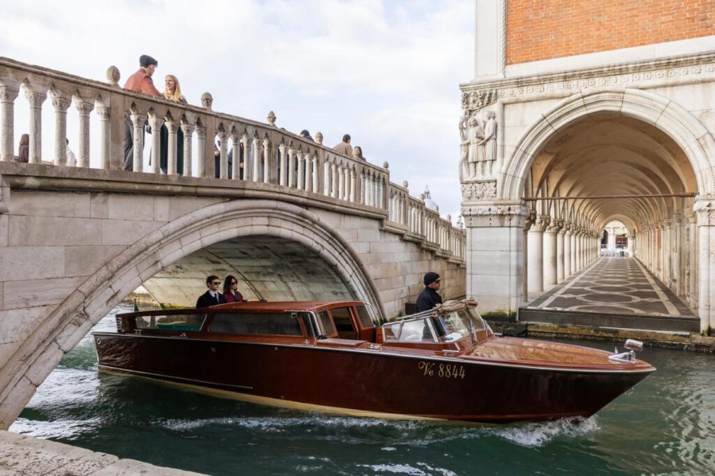 The Beauty on Disney+ official trailer