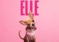 Elle on Prime Video prequel series for 1 July