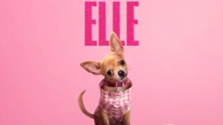 Elle on Prime Video prequel series for 1 July