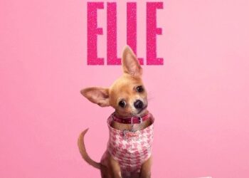 Elle on Prime Video prequel series for 1 July