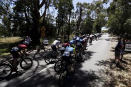 Westbridge Funds Road National Championships Elite Men's Road Race on SBS Viceland and SBS on Demand Final Day