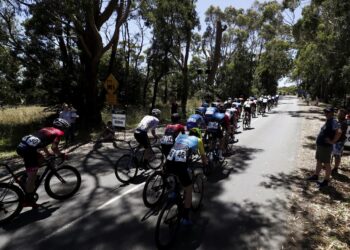 Westbridge Funds Road National Championships Elite Men's Road Race on SBS Viceland and SBS on Demand Final Day