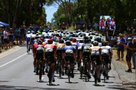 Westbridge Funds Road National Championships Men's U23 Road Race on SBS Viceland and SBS on Demand
