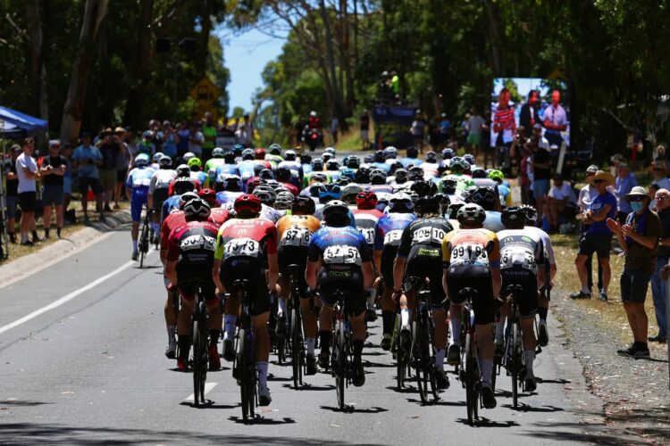 Westbridge Funds Road National Championships Men's U23 Road Race on SBS Viceland and SBS on Demand