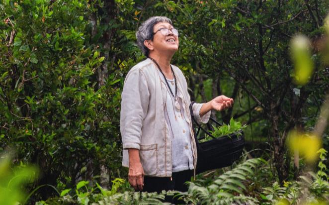 February 2026 on SBS on Demand