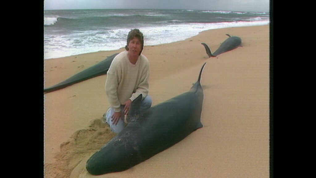 Michael Thomson celebrates more than 45 years in Perth news