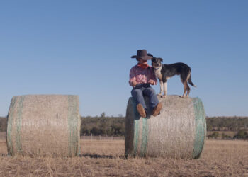 Muster Dogs on ABC and ABC iview S4E5