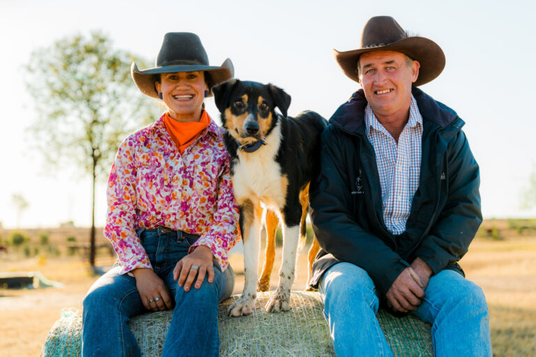 Muster Dogs on ABC and ABC ivew S4e4