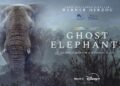Ghost Elephants on Disney+ trailer
