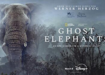 Ghost Elephants on Disney+ trailer