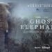 Ghost Elephants on Disney+ trailer