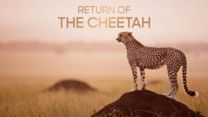 March 2026 on Warner Bros Discovery