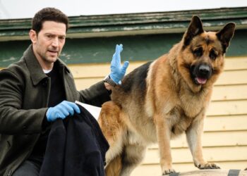 March 2026 on SBS on Demand