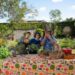 Gardening Australia Junior on ABC Kids and ABC iview S3E8