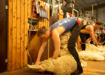 Back Roads on ABC and ABC iview S12E4