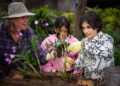 Gardening Australia Junior on ABC Kids and ABC iview S3E12