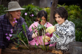 Gardening Australia Junior on ABC Kids and ABC iview S3E12