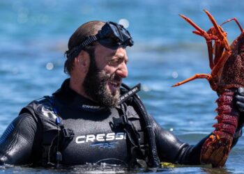 Deadliest Dinners on Binge new original