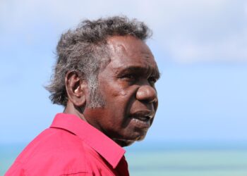 Australian Story on ABC and ABC iview profiles Witiyana Marika