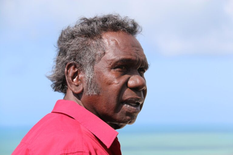 Australian Story on ABC and ABC iview profiles Witiyana Marika