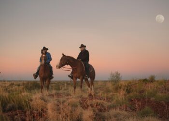 AIDC announces winners for 2026