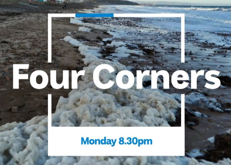 Four Corners on ABC and ABC iview S65E5