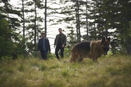 Hudson & Rex on SBS Viceland and SBS on Demand S8E1