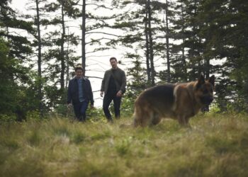 Hudson & Rex on SBS Viceland and SBS on Demand S8E1