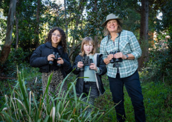 Gardening Australia Junior on ABC Kids and ABC iview S3E17