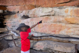 Gardening Australia Junior on ABC Kids and ABC iview S3E16