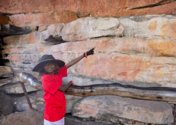 Gardening Australia Junior on ABC Kids and ABC iview S3E16