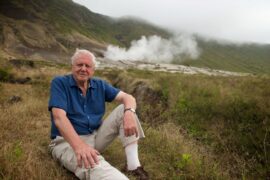 Celebrate David Attenborough’s 100th Birthday on BritBox